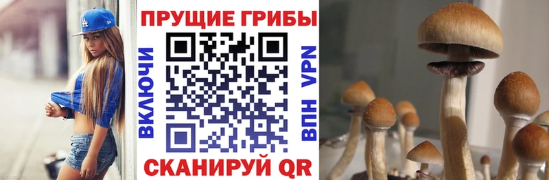 KRAKEN ССЫЛКА  Архангельск  Псилоцибиновые грибы мухоморы 