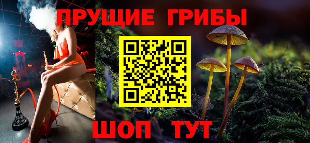 Галлюциногенные грибы Psilocybe  Архангельск  продажа наркотиков  Псилоцибиновые грибы мухоморы 